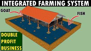 Integrated GOAT and FISH Farming | Modern Goat Fish Farming