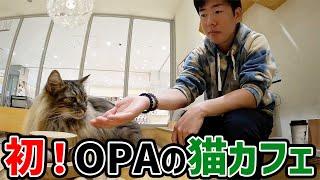 【高崎】窓からしか見たことないOPAの猫カフェ行ってみた