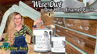 Wise Owl One Hour Enamel Paint