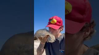 Rescuing HUGE Slimy Jellyfish! #shorts