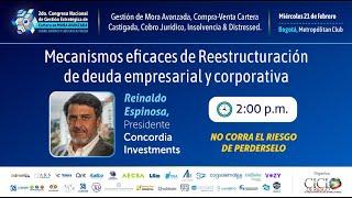 Mecanismos eficaces de Reestructuración de deuda empresarial y corporativa