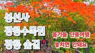 Gwangneung Arboretum Walking Trail:광릉수목원 둘레길