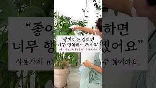 자주 받는 식물가게 손님의 질문! “좋아하는 일 하면 행복하시겠어요?”