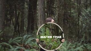 Магия трав. Травы для бани. Заговоры на красоту. Лана Палагнюк.