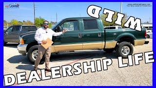 How many CARS did i sell for the month?  I bought a new car & SOLD A BRAPTOR!