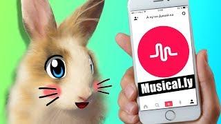 ЧЕЛЛЕНДЖ для КРОЛИКА БАФФИ! ПЕРВЫЙ КЛИП в МЬЮЗИКАЛИ! Новый CHALLENGE MUSICALLY  Бафи хочет Свидание?