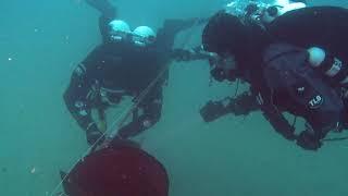 Divers exploring under water at the dogger bank in the sea 