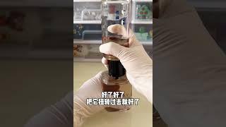 Vlog空瓶香水无限续杯，畅饮现场！！差点翻车了……