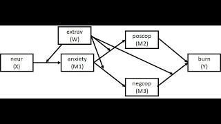 Testing a customized moderated mediation model using Process/SPSS: Examples with a single moderator