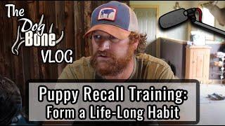 Puppy Recall Training YouTube | The DogBone VLOG: Ep: #88