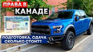 Всё Про Водительские Права в Канаде Как Получить? Экзамен по Вождению