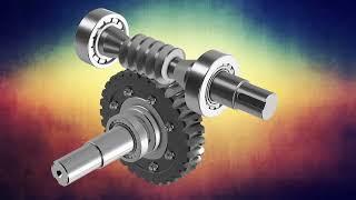 Worm Gear