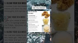 How To Prepare Sea Moss #seamoss #seamossgel #seamossbenefits #drsebi #algae