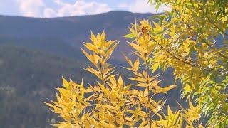 Crowded mountain passes frustrate fall color viewers