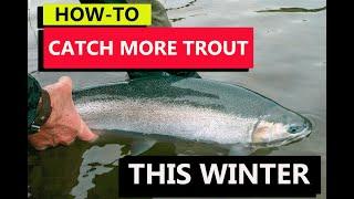 Catch More Trout This Winter (lures, how to make the most of them)