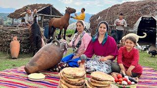 Nomadic Life in Northern Iran | Milking Cows, Making Butter & Cheese, and Cooking Dinner