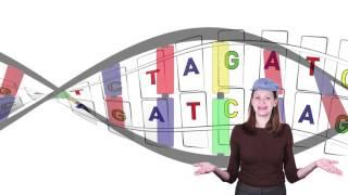 DNA 101: The building blocks of the genome