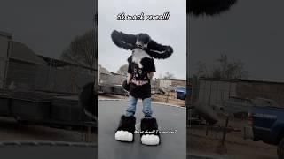 I kinda gave up on a transition-5k mask reveal! [ #furry #antizoo #dinomask #fursuit #cosplay #art ]