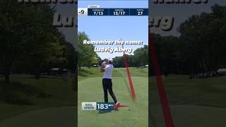 Is this the perfect golf swing? 