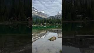 Lake O‘Hara in Yoho National Park in  #shorts #canada #canadianrockies #banff #travelcanada