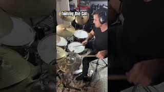 Primus Auditions #drummer #drums