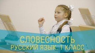 Урок русского языка. 1 класс