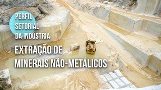 Conheça o setor de extração de minerais não-metálicos | 2024