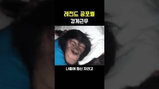 레전드 공포썰 [군대공포썰#4]