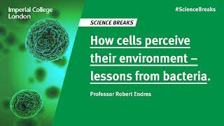 Science Breaks: How cells perceive their environment