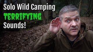 Solo Wild Camping in the UK | Identify Animal Noises You'll Hear at Night