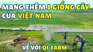 Quanglinhvlogs || Đến Trang Trại "Linh Philip" Mang Thêm "1 Giống Cây" Việt Nam Về Quang Linh Farm.