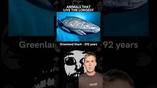 Longest Living Animals EXPLAINED