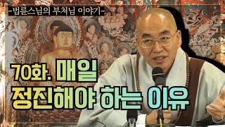 [법륜스님의 부처님이야기] 70화.  매일 정진해야 하는 이유