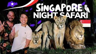  Why you should NEVER visit Night Safari Singapore  before watching this video