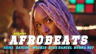 BEST AFROPARTY VIDEO MIX 2024 BY DJ HARRY | NAIJA AFROBEAT VIDEO MIX #TweTwe #kizzdaniel #davido