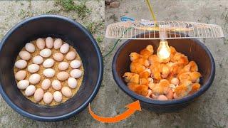BEST Incubator For Chicken Eggs With 100% Efficiency | Chicken Hatchery | Chicken Egg Incubator