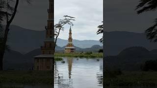 Amazing Wildlife view from the Lake Naivasha #travel