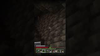 Can't have a minute of peace #minecraft #addon #youtube #gaming