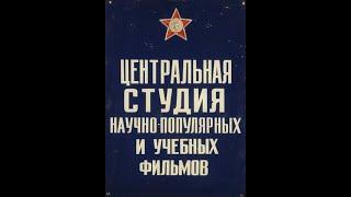 Научфильм. Учебные фильмы по биологии. 8.Регуляция биологических процессов