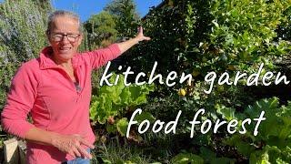 Growing Your Own Food is EASY in a Permaculture Kitchen Garden
