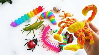 Learn Bugs Names & Facts in the Snow | Festive Fun for Kids: Slug Caterpillar #HolidaysWithYouTube