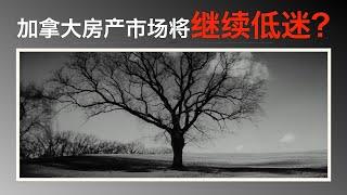 【加拿大房产聚焦】加拿大房产市场持续低迷，大部分人没看透原因……