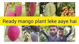 Thai neu plant leke aiyehe redi plant J R Mondal Nursery all fruit plant nursery West Bengal