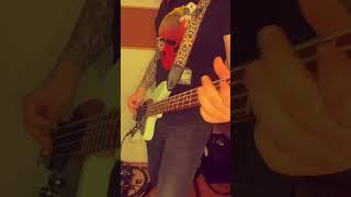 THIS IS GAME CHANGING!       Ibanez TMB30 ShortScale Bass | Bias FX