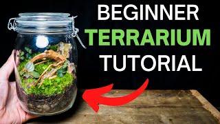 How To Make A Terrarium - ULTIMATE Beginners Guide