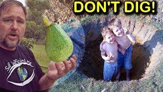 How to Grow & Plant Avocado Trees in Poor Drainage or Clay Soil