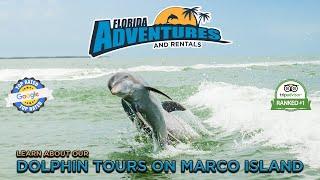 Marco Island Dolphin Tours - Florida Adventures and Rentals