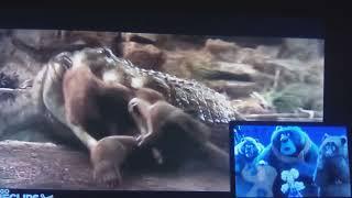 Nicholas The Anacondrai (Me), Goldi And Three Bears Sees Grizzly Bear Gets Eaten By Lake Placid