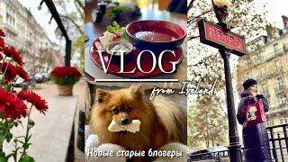 Vlog из Ирландии ️Шпиц манипулятор Ирландский мэр ест борщ ️