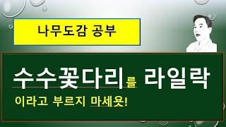 수수꽃다리 vs 라일락 vs 정향나무 : 서로 다른 차이점